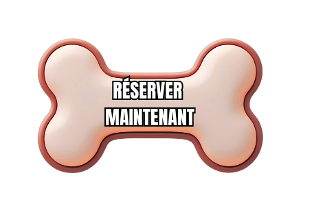 réservation cognac pet resort pension chien et chat proche de Cognac