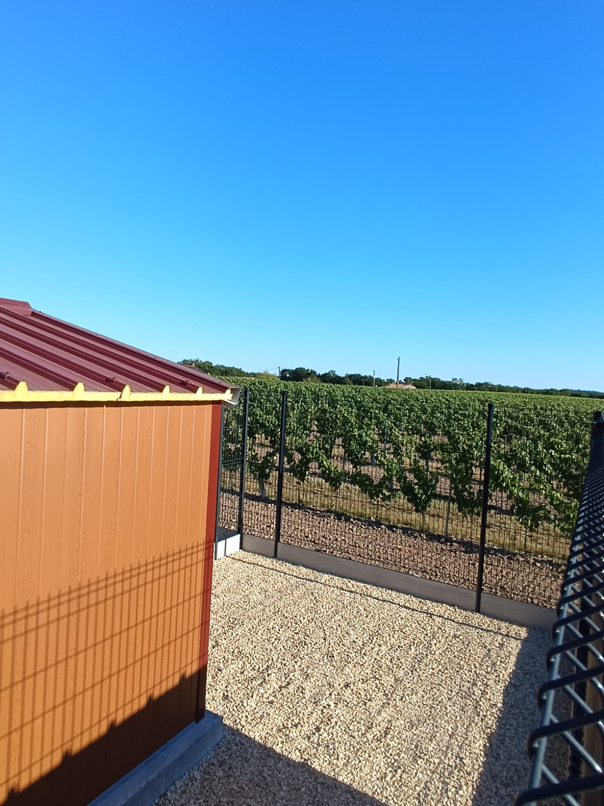 cour individuelle pension chien