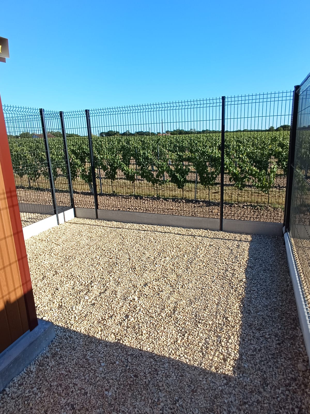 cour individuelle pension chien