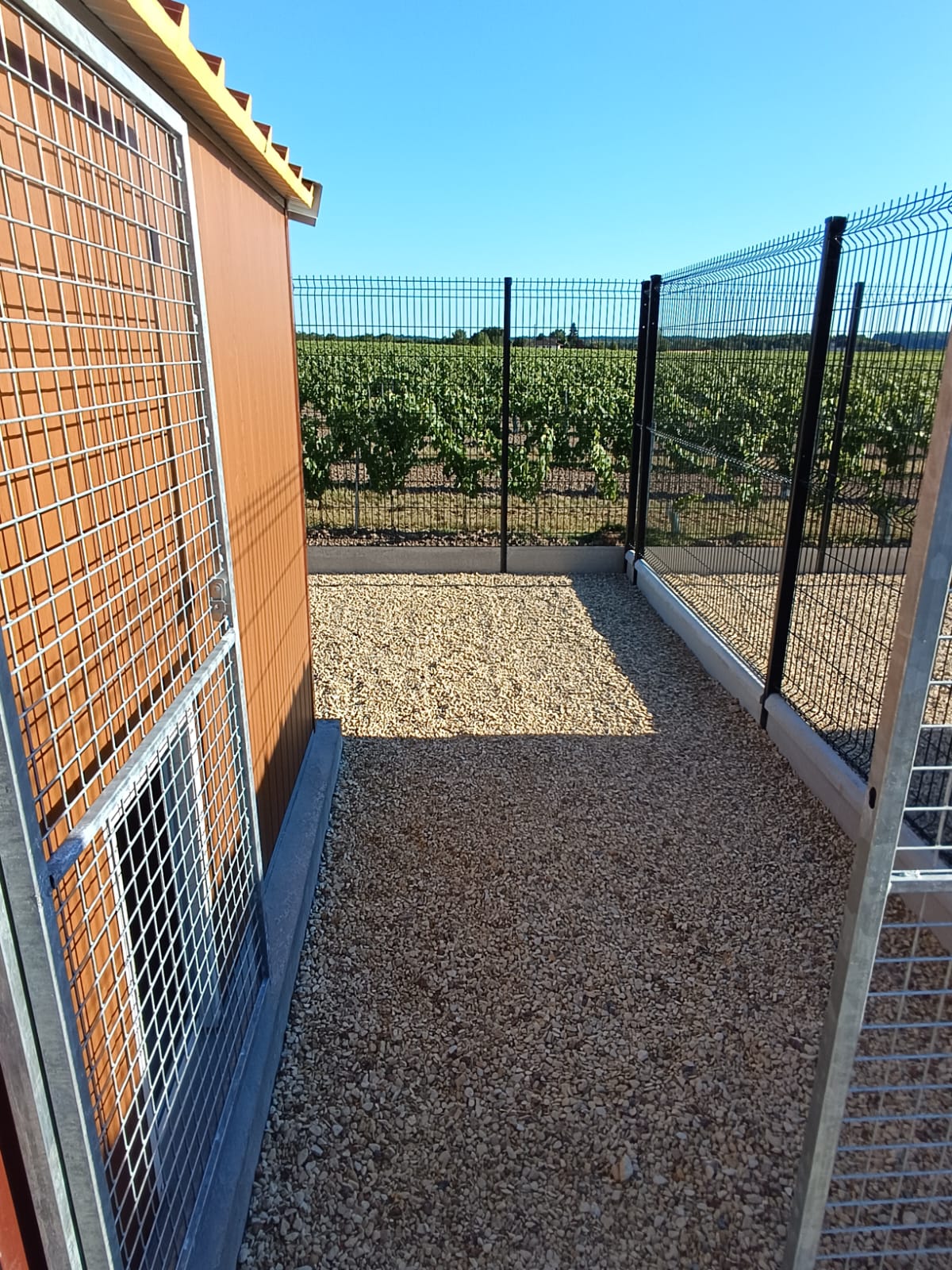 cour individuelle pension chien