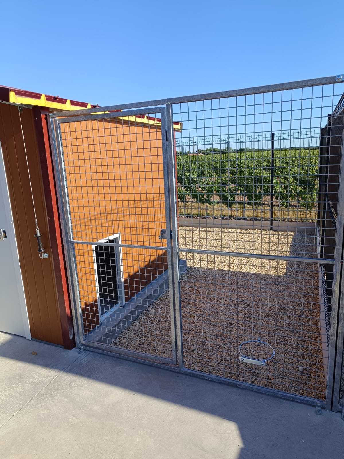 pension chien sécurisée