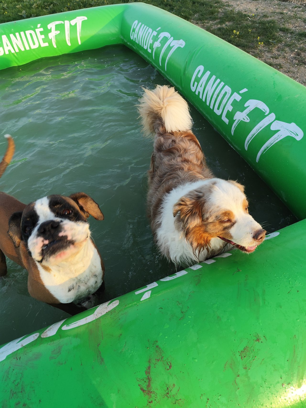 IMG_20250809_075455_1