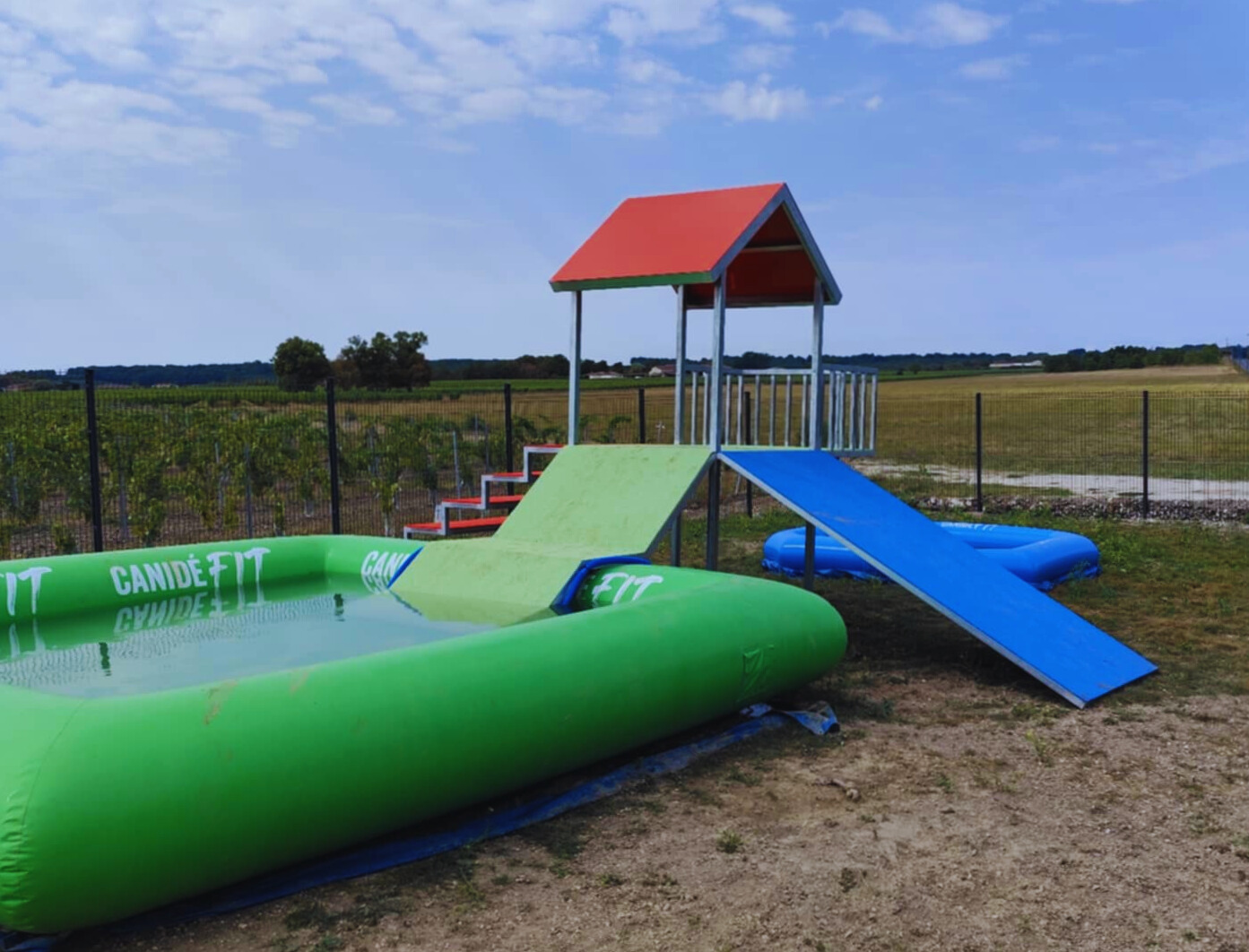 Aire de jeux chiens sécurisée avec piscine – Cognac Pet Resort